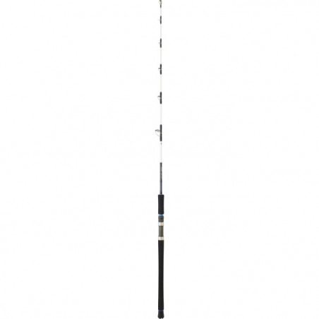 Canne Daiwa Salist off shore