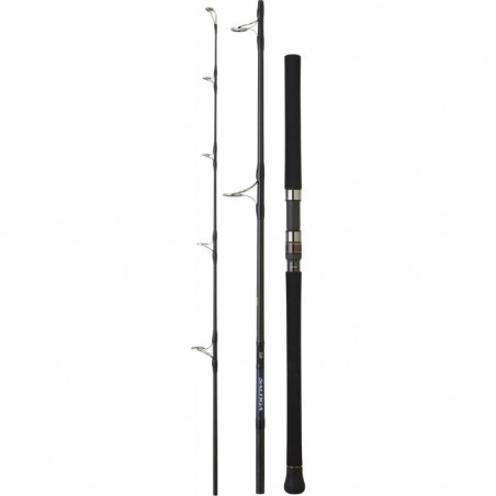 Canne Daiwa Saltiga Air Portable