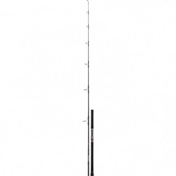 Canne Daiwa Saltiga Casting