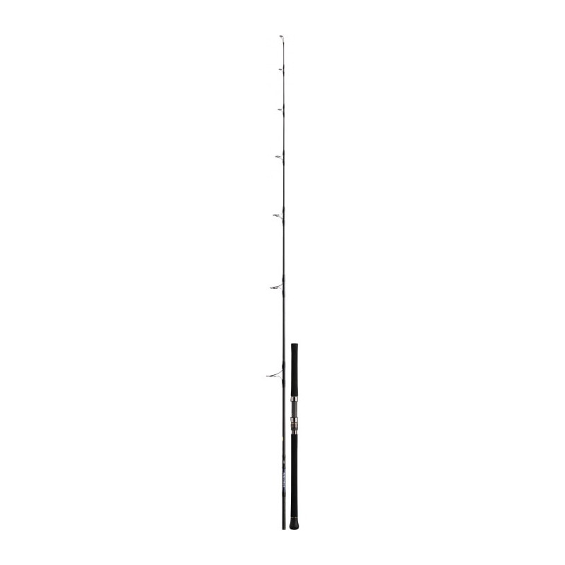 Canne Daiwa Saltiga Casting