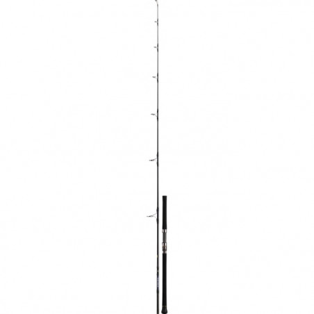 Canne Daiwa Saltiga Casting