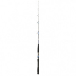Canne Daiwa Saltiga Jigging