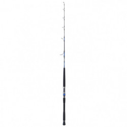 Canne Daiwa Saltiga Jigging