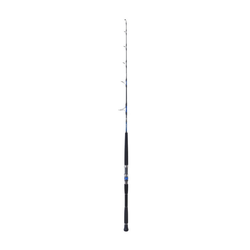 Canne Daiwa Saltiga Jigging