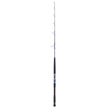 Canne Daiwa Saltiga Jigging