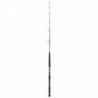 Canne Daiwa Saltiga Jigging