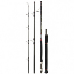 Canne Daiwa Saltiga Saltist...