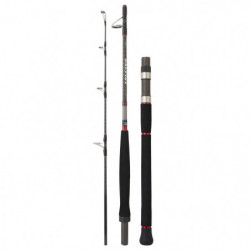 Canne Daiwa Saltiga Saltist Travel