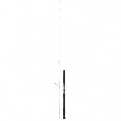 Canne Daiwa Saltiga Spinning