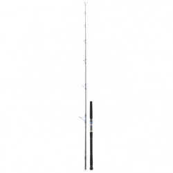Canne Daiwa Saltiga Spinning