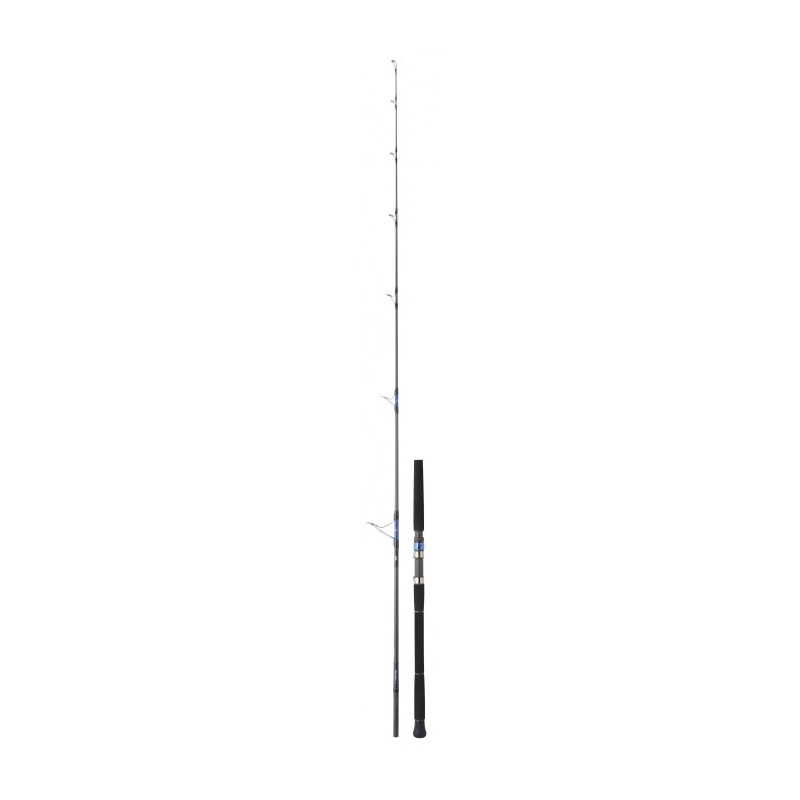 Canne Daiwa Saltiga Spinning