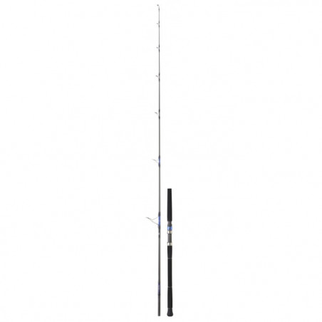 Canne Daiwa Saltiga Spinning