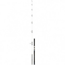 Canne Daiwa Saltist Offshore