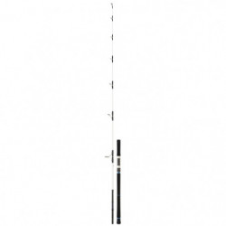 Canne Daiwa Saltist Offshore