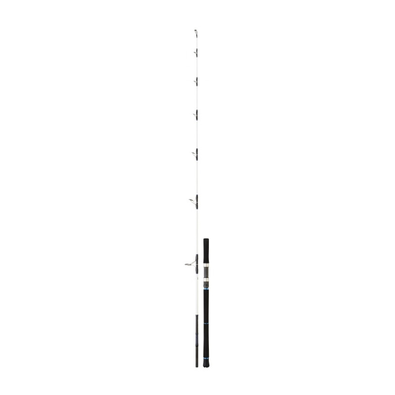 Canne Daiwa Saltist Offshore