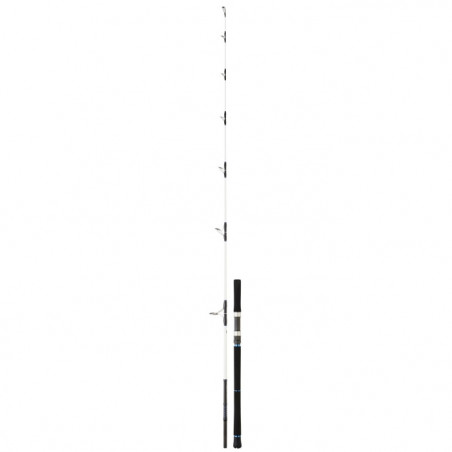 Canne Daiwa Saltist Offshore