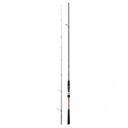 Canne Daiwa Saltist Tenya