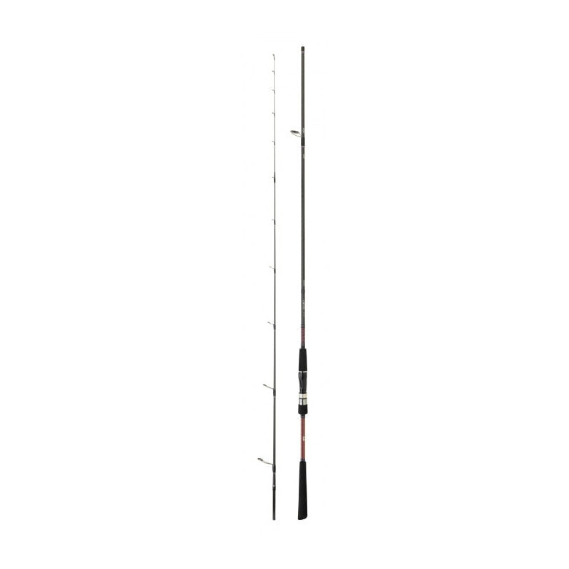 Canne Daiwa Saltist Tenya