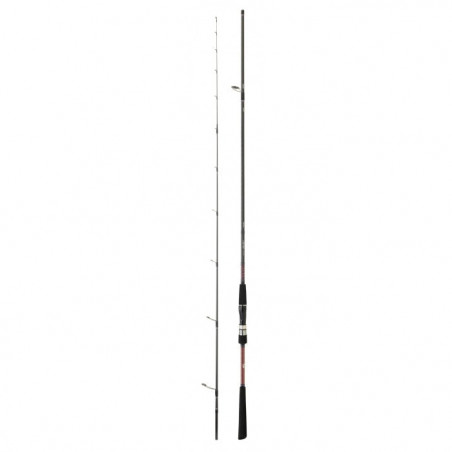 Canne Daiwa Saltist Tenya