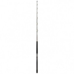 Canne Daiwa Sealine X Trolling