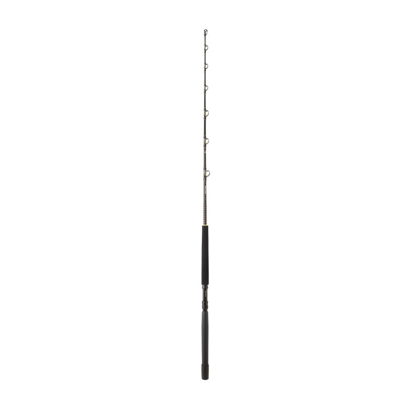 Canne Daiwa Sealine X Trolling