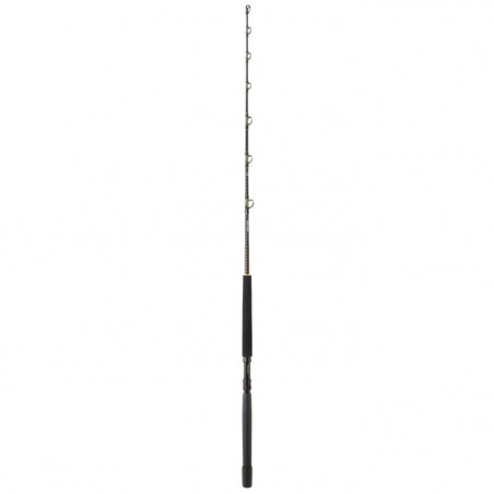 Canne Daiwa Sealine X Trolling
