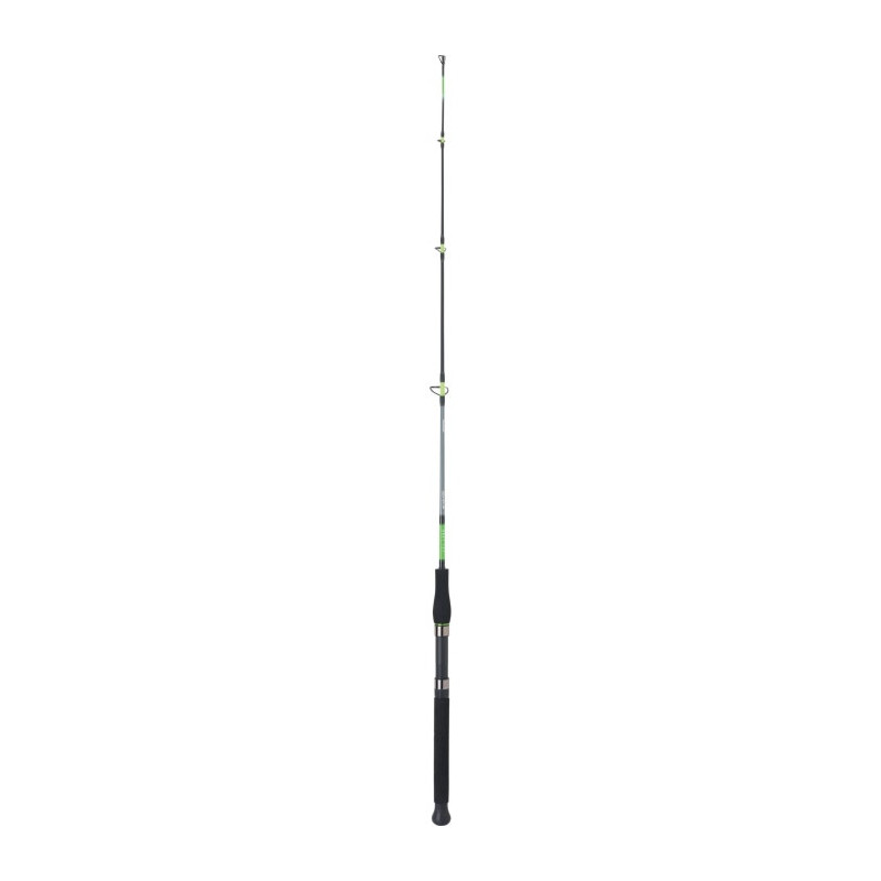 Canne Daiwa Sensor Boat
