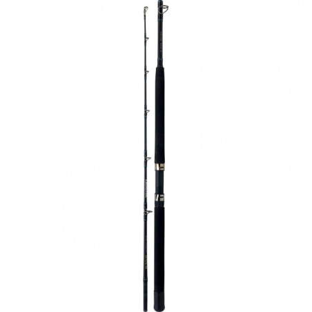 Canne Daiwa Sensor Trolling