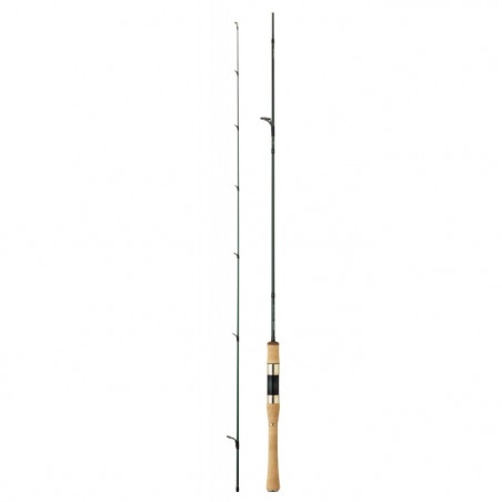 Canne Daiwa Silver Creek AGS
