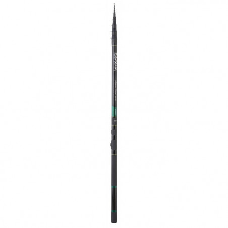 Canne Daiwa Silver Creek Réglable