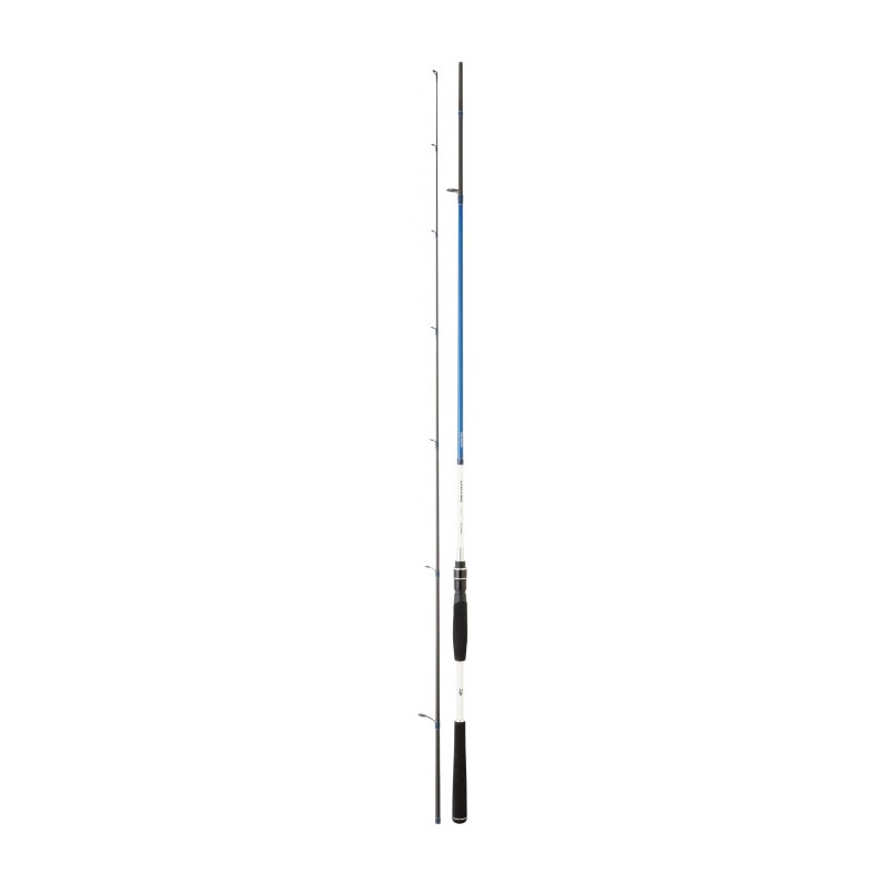 Canne Daiwa Spitfire Seabass