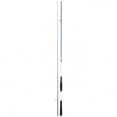 Canne Daiwa Spitfire Seabass