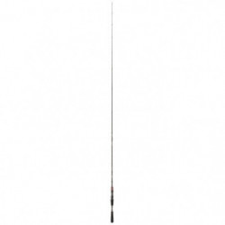 Canne Daiwa Steez AGS Casting