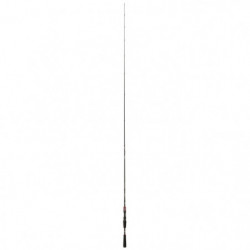Canne Daiwa Steez AGS Casting