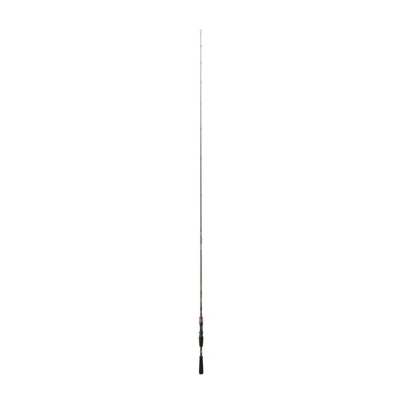 Canne Daiwa Steez AGS Casting