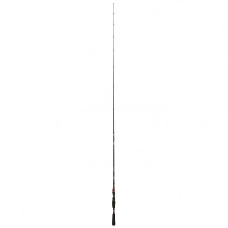 Canne Daiwa Steez AGS Casting