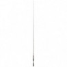 Canne Daiwa Steez AGS Casting