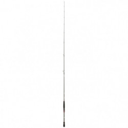 Canne Daiwa Steez AGS Spinning