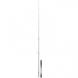 Canne Daiwa Steez AGS Spinning
