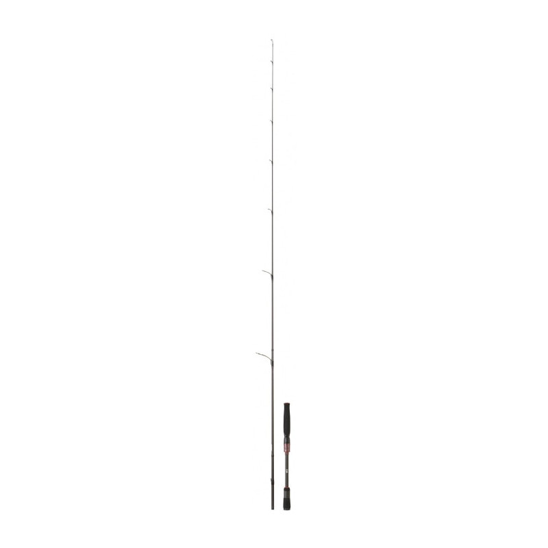 Canne Daiwa Steez AGS Spinning