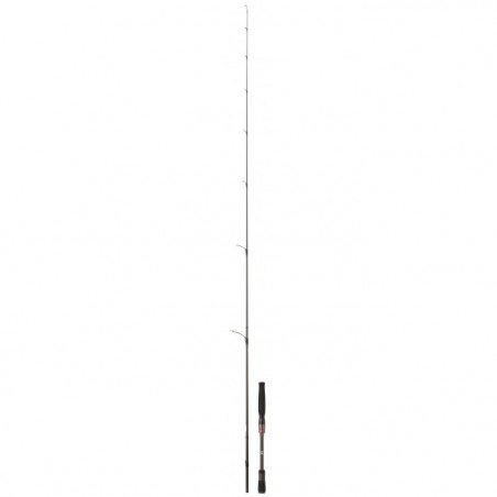 Canne Daiwa Steez AGS Spinning
