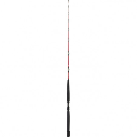 Canne Daiwa Tanacom Boat