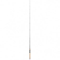 Canne Daiwa Tatula Casting