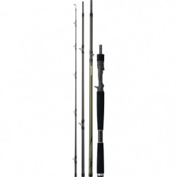 Canne Daiwa Team Travel