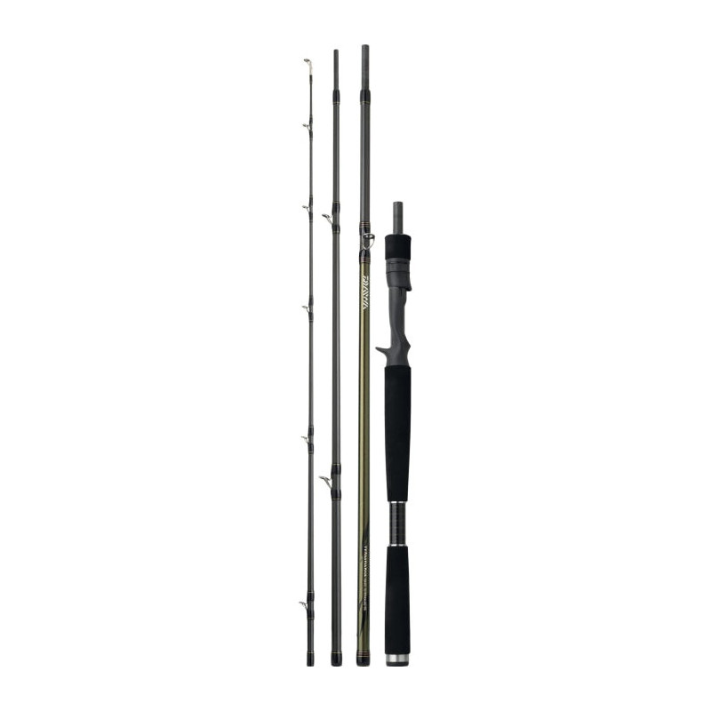 Canne Daiwa Team Travel