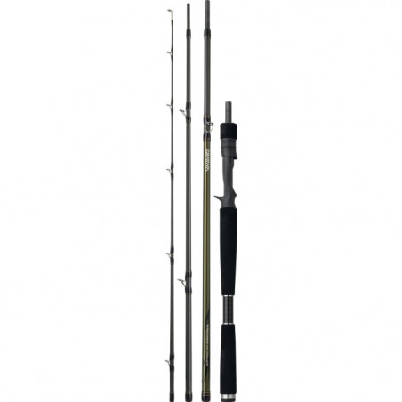 Canne Daiwa Team Travel