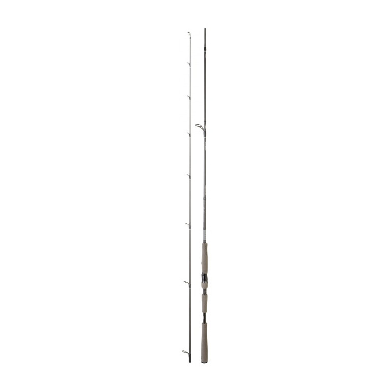 Canne Daiwa Tournament AGS III Seebass