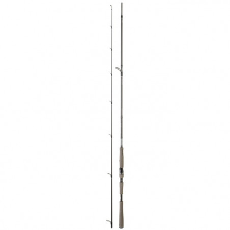 Canne Daiwa Tournament AGS III Seebass