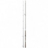 Canne Daiwa Tournament AGS III Seebass