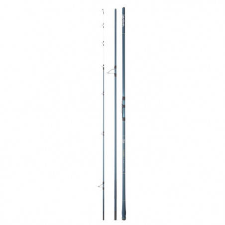 Canne Daiwa Tournament Masterise